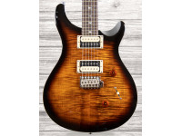 PRS SE Custom 24 BG PRS SE Custom 24 BG